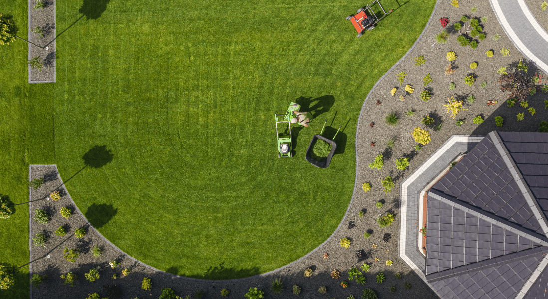 cleaning your yard show case seasonal pest control tips