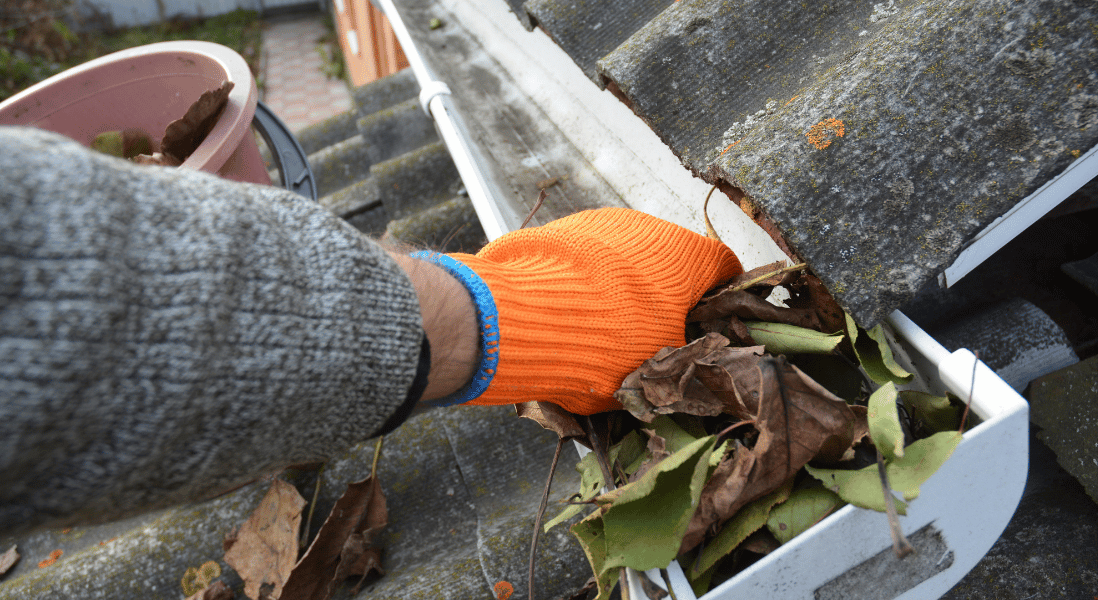 keep gutters clean contributes to seasonal pest control tips