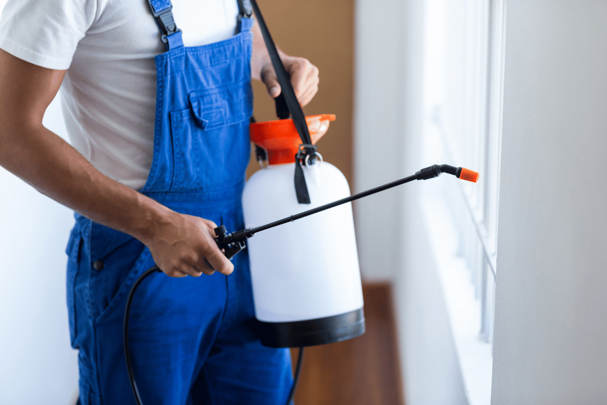man spraying the window edges to protect pest from coming in the house