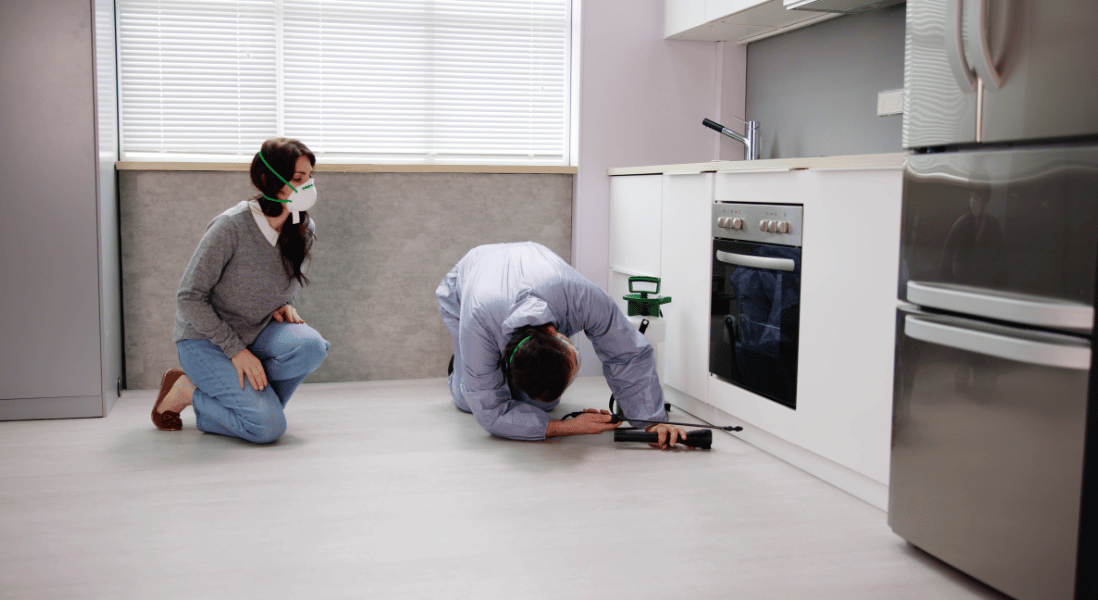 man & women adhere to the pest control regulations in Pretoria