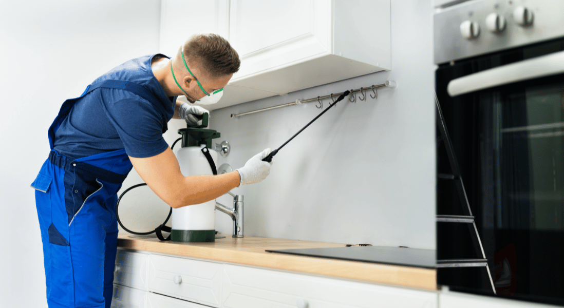 man demonstrating one of the pest control tips