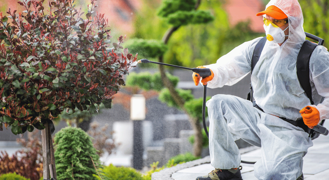 man wearing the white jump suites and spraying the garden