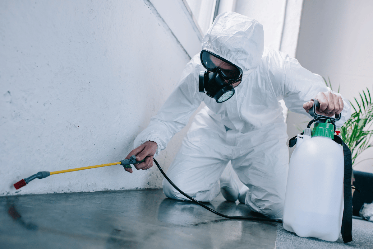 pest expert wearing a white jump suit spraying corner surfaces