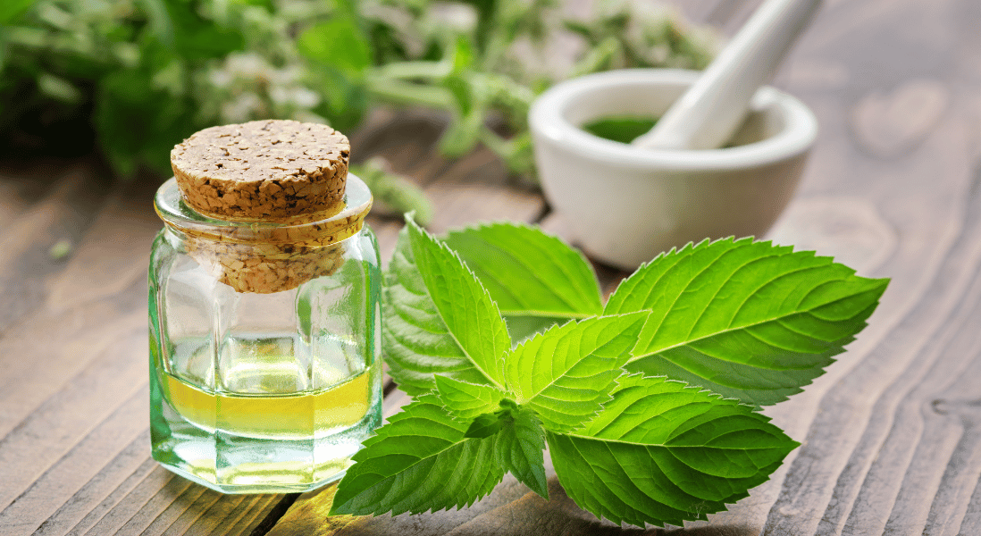 peppermint leaves , peppermint oil and white ramikan on the table 