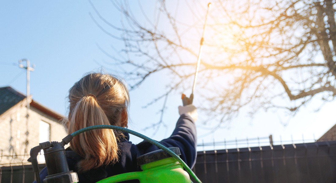 women spraying chemical outside the fence for pest not to come in