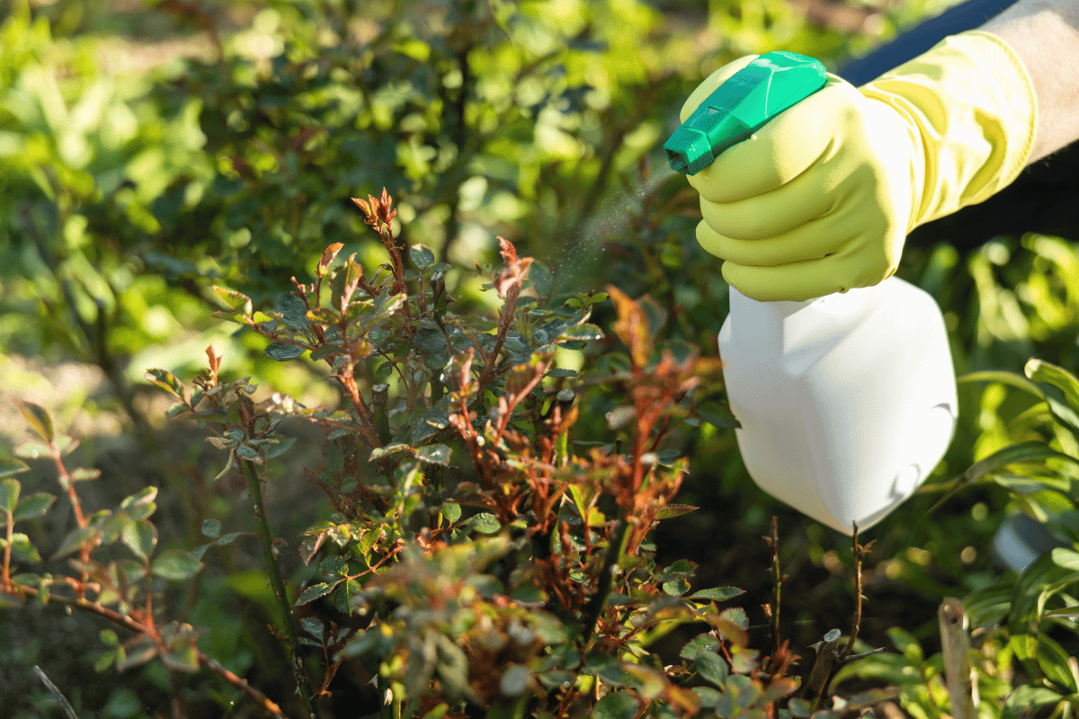 white bottle spray , garden , left hand , yellow glove