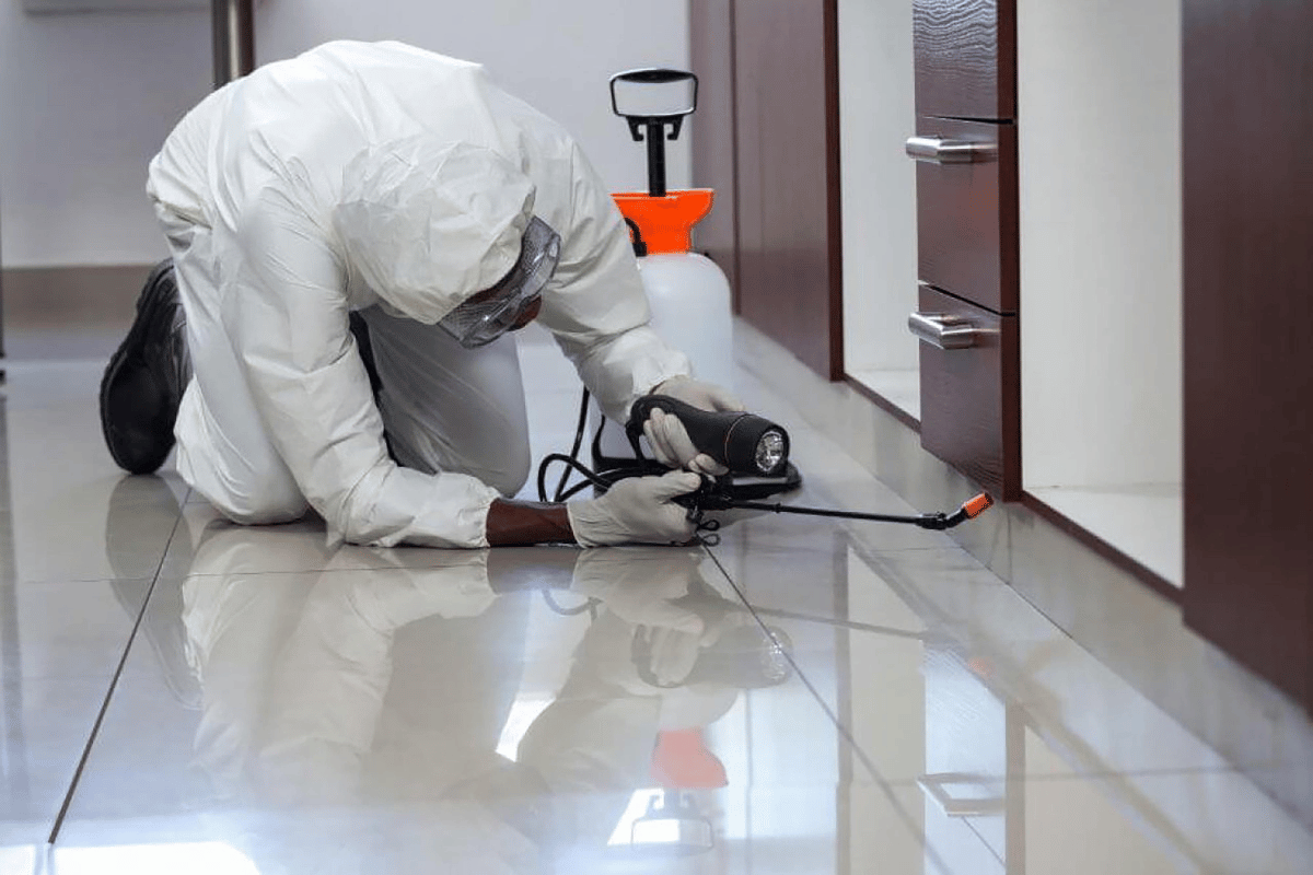 pest specialist , sanitising the kitchen