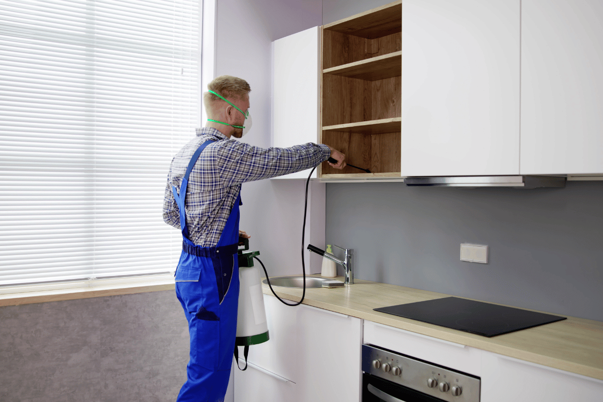 man spraying inside the cupboards using a probe