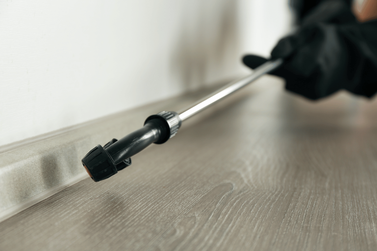 master pest control with 5 expert tips
