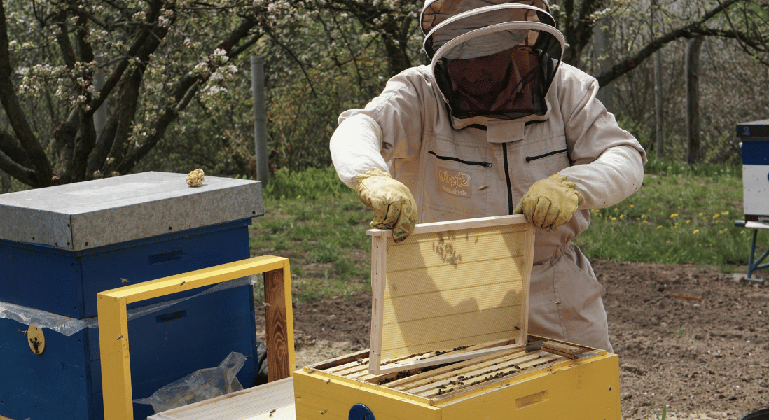 man opening a box on bee safe holdings 