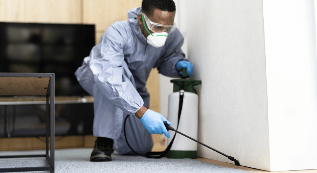 pest control careers for 2025 unlocking a man to start house calls