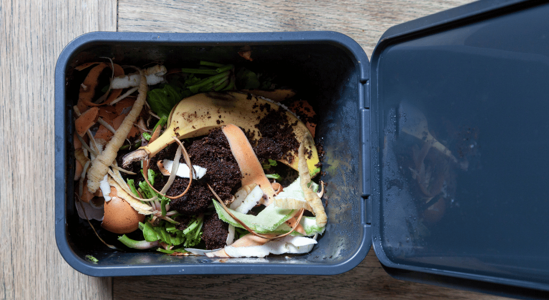deter rats from your compost bins & don't live it open