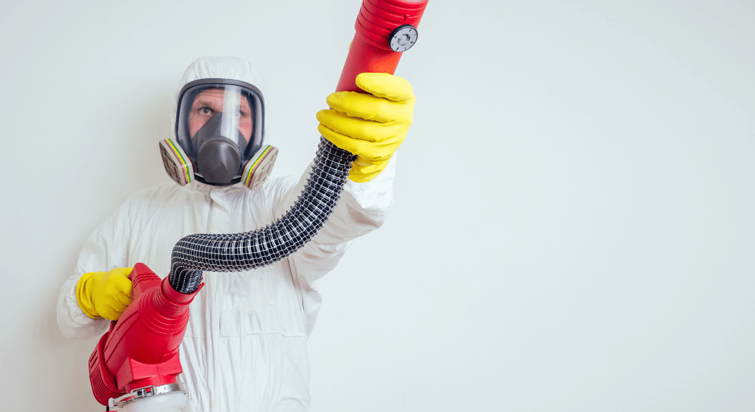 expert ceiling cavity sprays to remove pests 