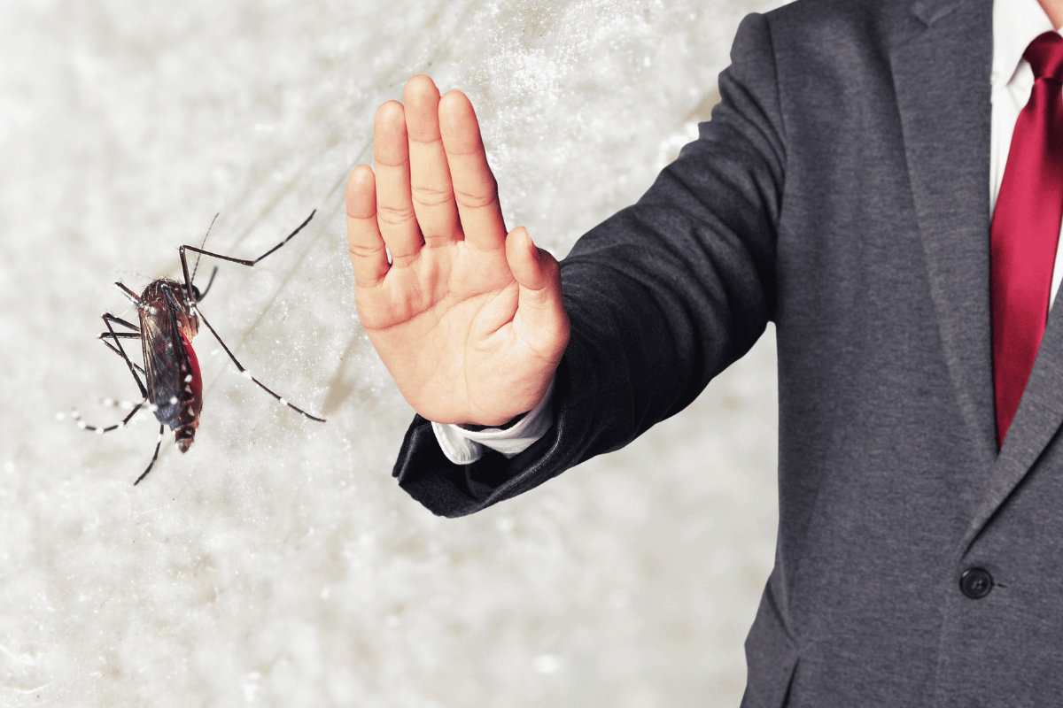 insect control for business affected by mosquito