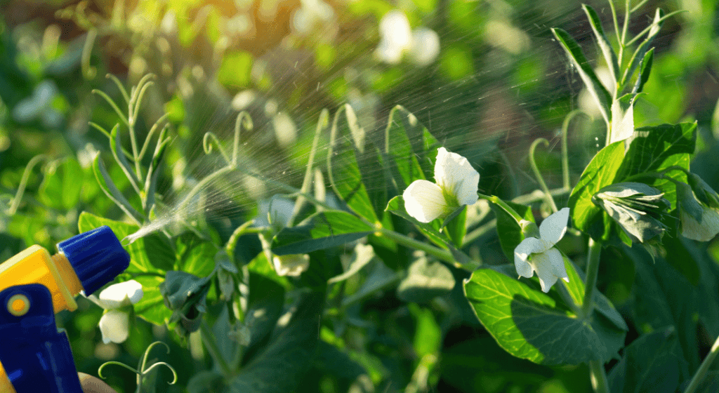 integrated pest management solutions that is safe for environment