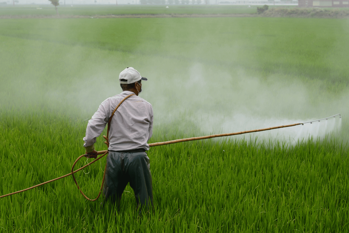 pesticide control management on big land