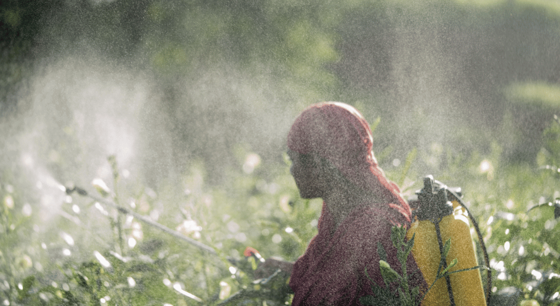 woman practising pesticide control management  