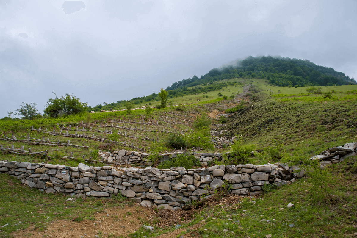 preventing soil erosion in kwazulu natal property